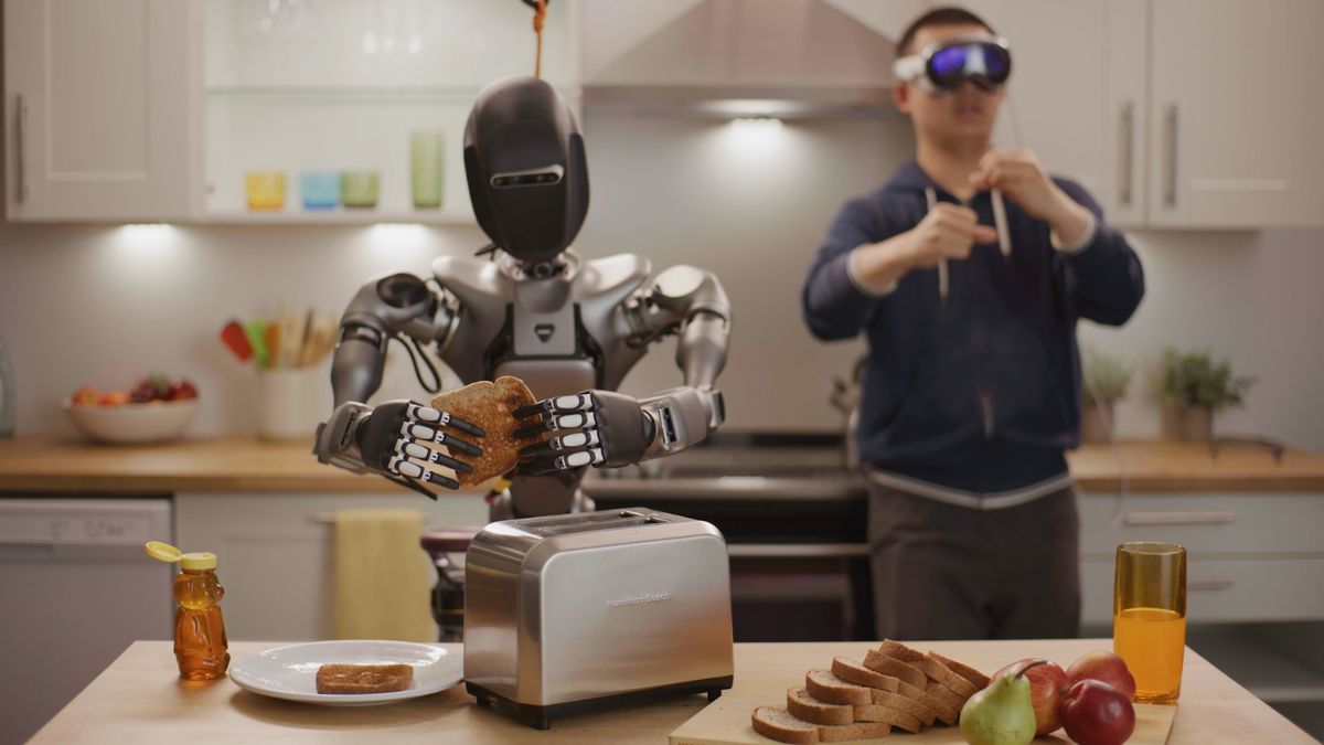 humanoid-robotics.jpeg